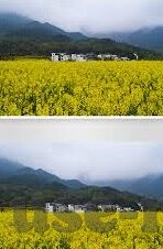 91md传媒官方入口大象-91md传媒，大象的数字世界门户