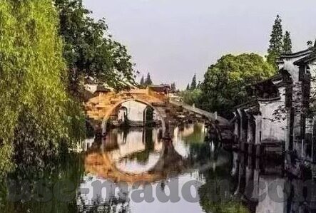 成人在线视频大香蕉-成人在线视频，大香蕉的背后与思考