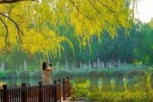 伦理三级-伦理的深度探索，从三级视角理解道德的复杂性