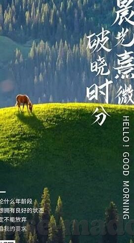 麻豆app官网入口-麻豆app，娱乐与安全并重，拓展生活的多彩舞台