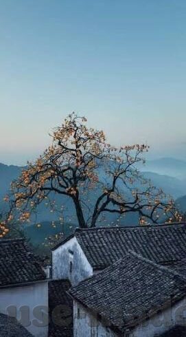 麻豆美女激情av-带有微光的生活暗流——深入探讨网络文化中的多元化话题