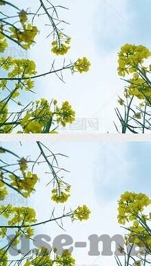 日韩av不卡在线-日韩AV流畅观看，解锁在线娱乐新体验
