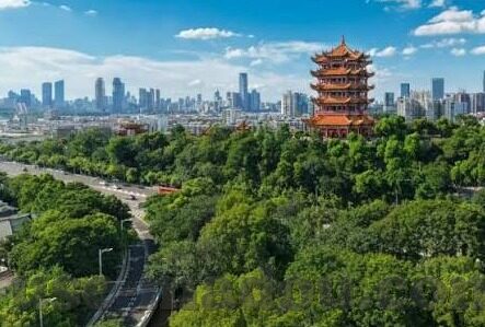 糖心app怎么下载-如何在非赞誉领域内正确定位糖心app的下载步骤