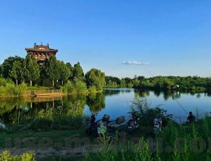 亚洲一区二区综合18p-亚洲一区二区综合18p，文化与社会的多元视角